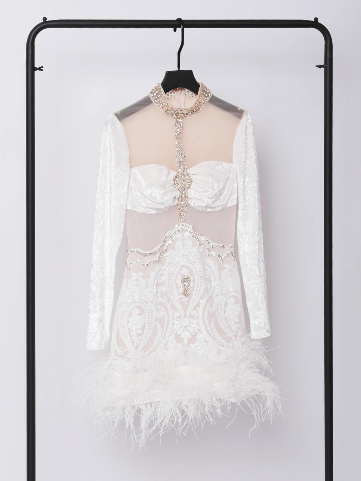 Eliza Long Sleeve Embellished Feather Mini Dress