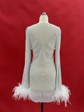 Xanthe Rhinestone Mesh Mini Dress In White