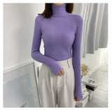 Women Turtleneck Sweaters Autumn Winter Korean Slim Pullover Women Basic Tops Casual Soft Knit Sweater Soft Warm Jumper